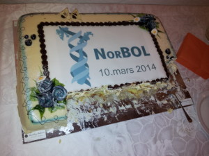 Den staselige NORBOL-kaken inneholdt lett identifiserbare ingredienser