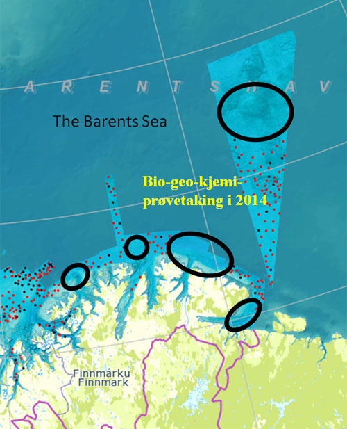 Planlagte innsamlingsområder i 2014 (sirklet i sort). Bilde fra mareano.no (se link i teksten)