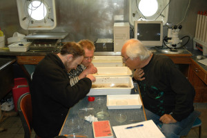 Wim Vader og to av hans amfipodestudenter. Foto: AHS Tandberg