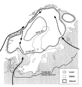 Isens utbredelse og mulige ankomstveier for de forskjellige gruppene av Gammarus lacustris. Fig 7 fra Vainio & Väinölä 2003.
