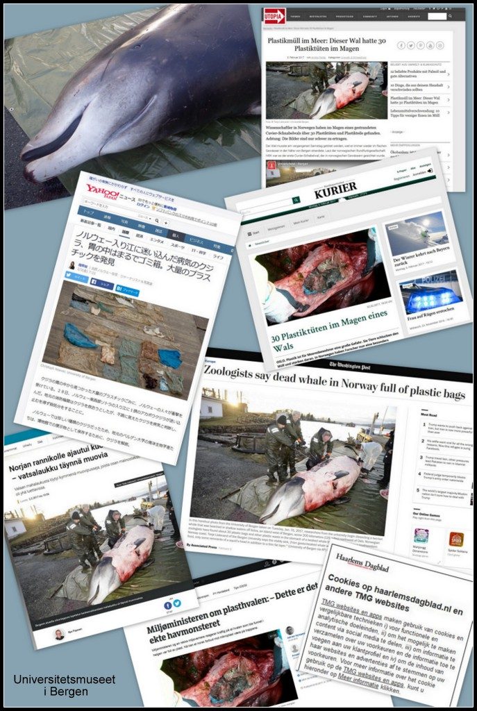 Plastfunnet i hvalen har ført til mange avisoppslag om marin forsøpling