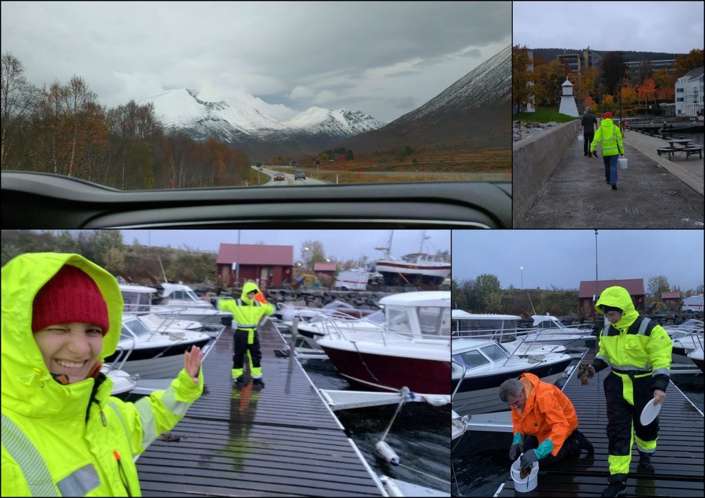 fire bilder i kollasj som viser et landskapsbilde fra bilen, og tre hvor personer i regntøy samler inn materiale fra flytebrygger