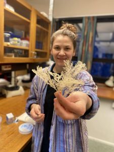 en person viser frem eb bryozoakvast som om den var en blomst