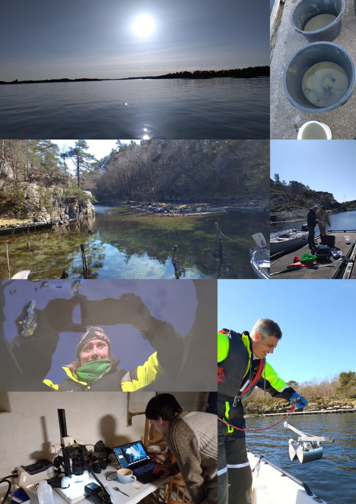 a collage of images showing people out in the field onboard a small boat, and in a lab