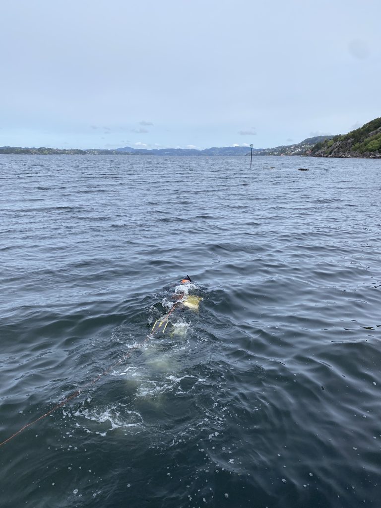 En person kledd i våtdrakt svømmer med snorkel