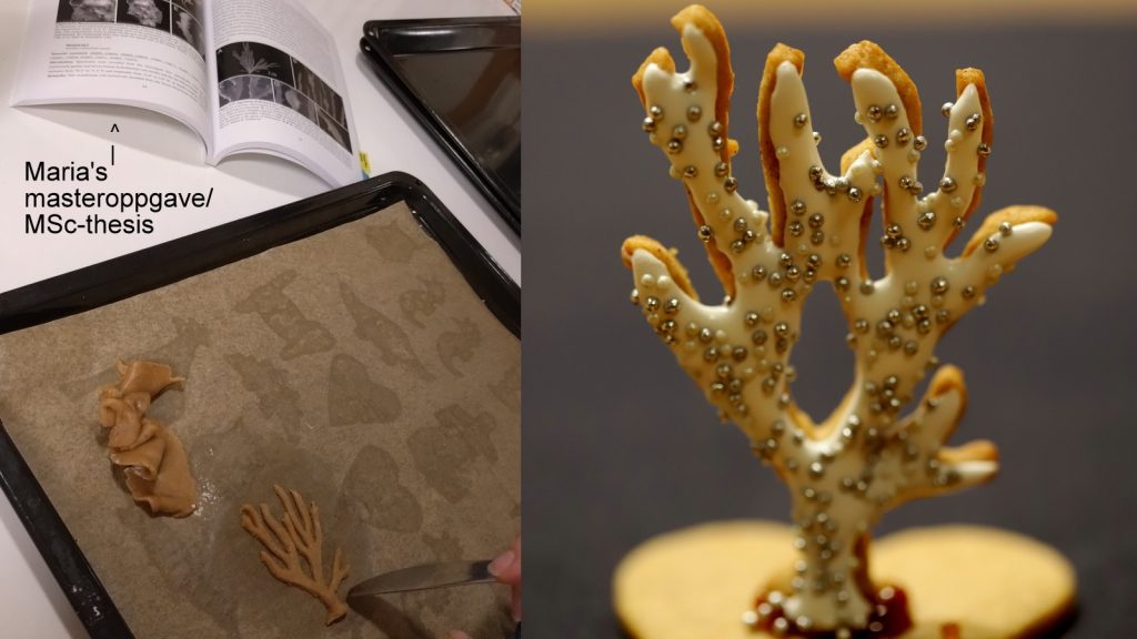 Bilde av en masteroppgave brukt som bakeanvisning